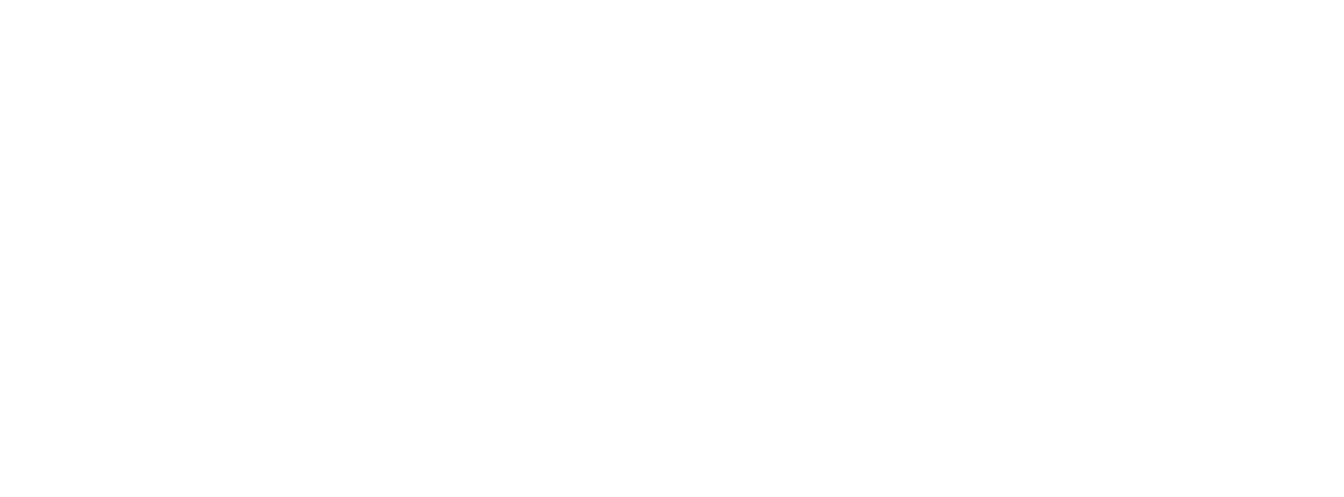 Čiužinukas_Logotipas_Baltas